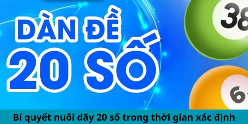 Bí quyết nuôi dãy 20 số trong thời gian xác định