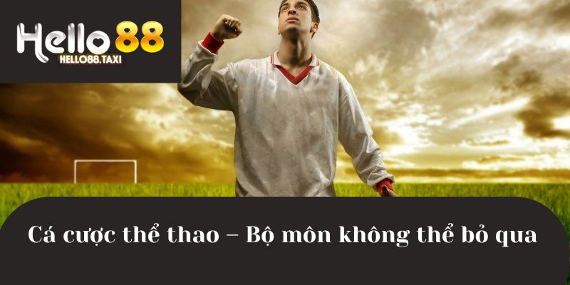 Cá cược thể thao - Bộ môn không thể bỏ qua