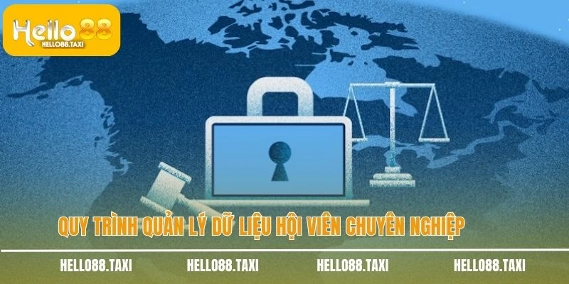 Quy trình quản lý dữ liệu hội viên chuyên nghiệp