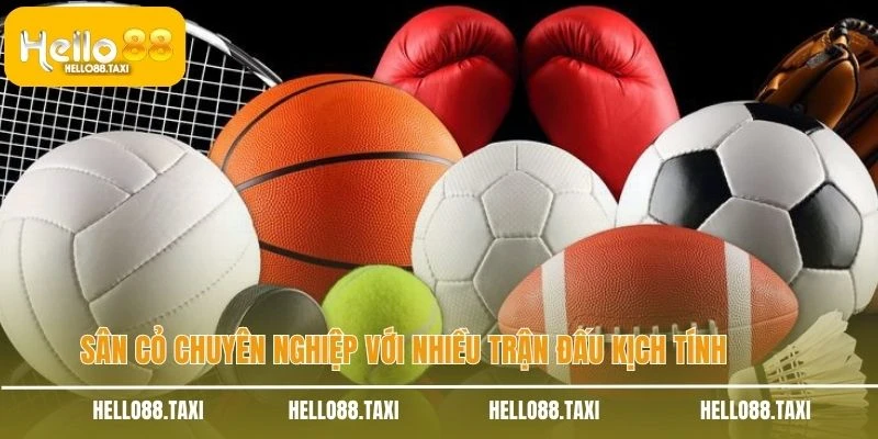 Sân cỏ chuyên nghiệp với nhiều trận đấu kịch tính