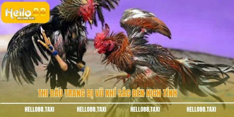 Thi đấu trang bị vũ khí sắc bén kịch tính