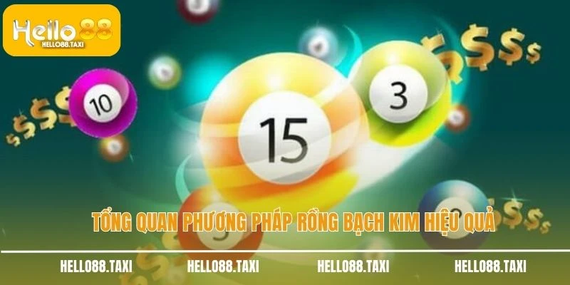 Tổng quan phương pháp Rồng Bạch Kim hiệu quả