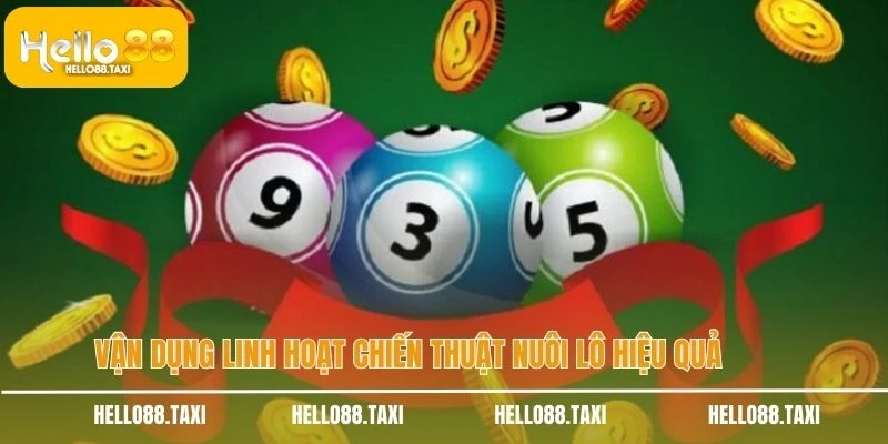 Vận dụng linh hoạt chiến thuật nuôi lô hiệu quả